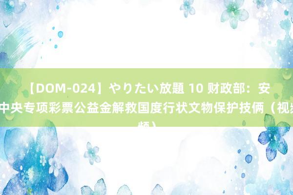 【DOM-024】やりたい放題 10 财政部：安排中央专项彩票公益金解救国度行状文物保护技俩（视频）