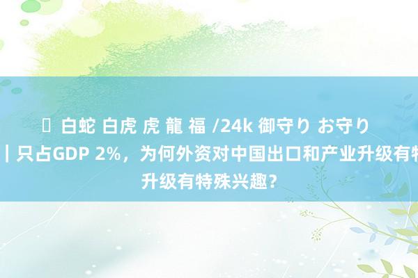 ✨白蛇 白虎 虎 龍 福 /24k 御守り お守り 和讯气派｜只占GDP 2%，为何外资对中国出口和产业升级有特殊兴趣？