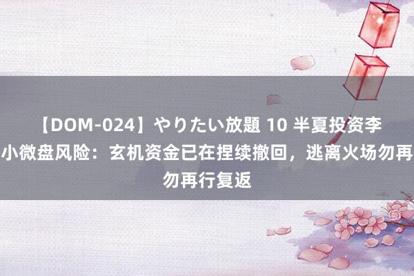 【DOM-024】やりたい放題 10 半夏投资李蓓领导小微盘风险：玄机资金已在捏续撤回，逃离火场勿再行复返