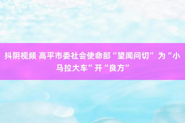 抖阴视频 高平市委社会使命部“望闻问切” 为“小马拉大车”开“良方”