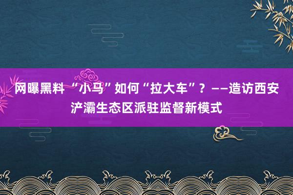 网曝黑料 “小马”如何“拉大车”？——造访西安浐灞生态区派驻监督新模式